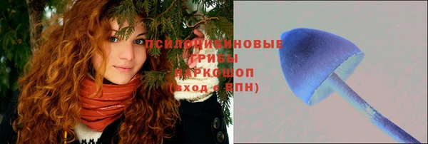 твердый Бородино