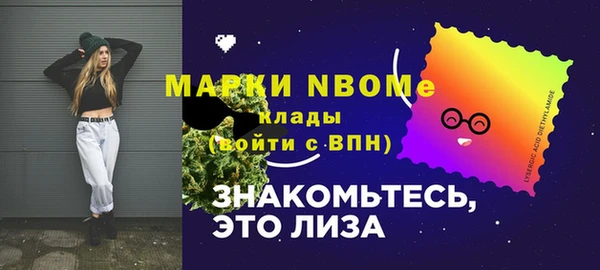 твердый Бородино
