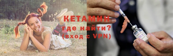 твердый Бородино