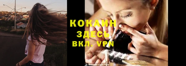 твердый Бородино
