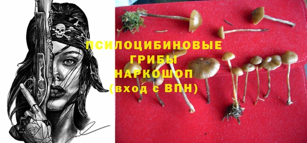 ешки Бугульма