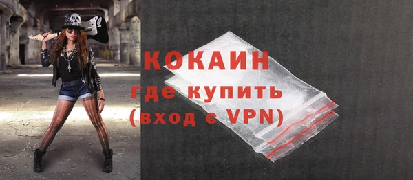 твердый Бородино