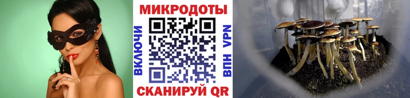 omg вход  Ставрополь  Галлюциногенные грибы мухоморы 
